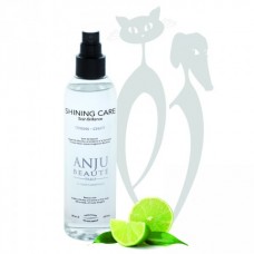 Anju Beaute Спрей "Ультра-Блеск" (Brilliance Shining Spray) (AN910), 0,15 кг