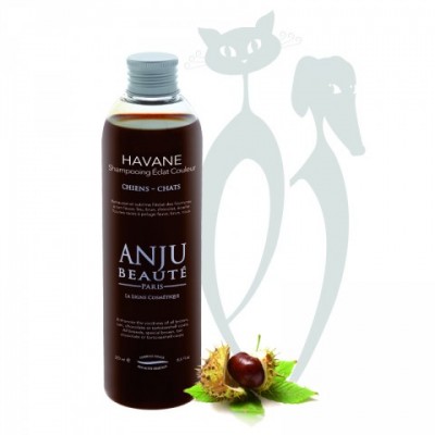 Anju Beaute Шампунь "Рыжие, Шоколадные и Коричневые окрасы" (AN212) | Shampooing Havane Shampooing Havane, 1 кг